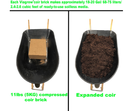 G125 VCCB6503